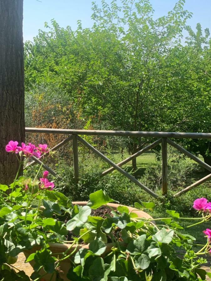 Bed and Breakfast Il Lauro San Costanzo Exterior foto