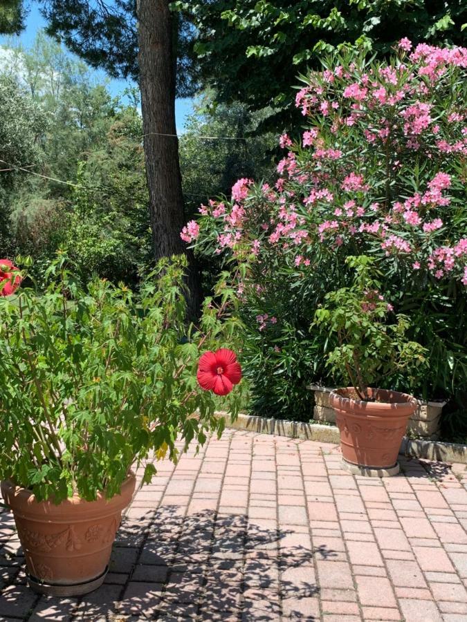 Bed and Breakfast Il Lauro San Costanzo Exterior foto