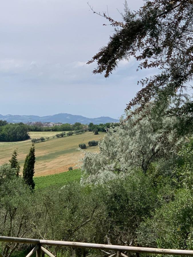 Bed and Breakfast Il Lauro San Costanzo Exterior foto