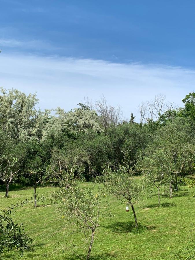 Bed and Breakfast Il Lauro San Costanzo Exterior foto